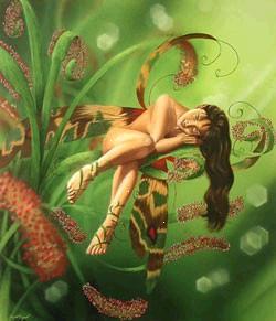 soutenir nessaearfallas